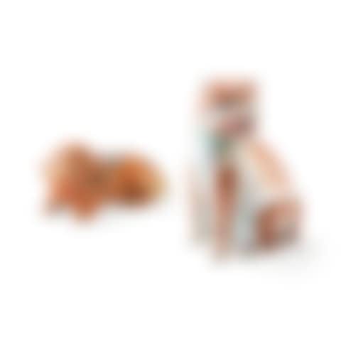 TWO CHINESE EXPORT DOGS (preview)