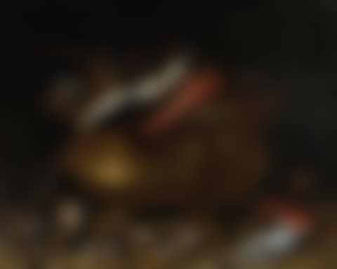 STILL LIFE WITH FISH AND MOLLUSCS (preview)