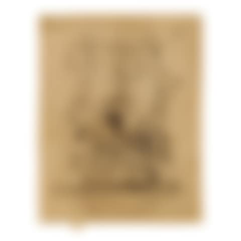 THE GARDEN (KENNEDY 210; GLASGOW 194) (preview)