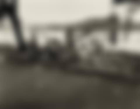 Picnic, East River, N.y. (preview)