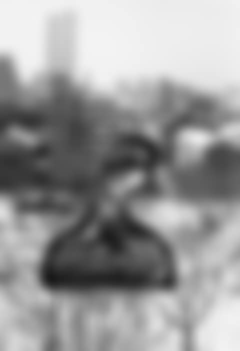 Figurine In Window With The World Trade Towers In The Background (preview)