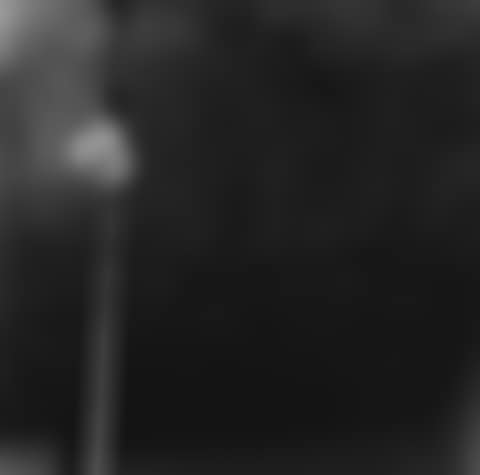 Rauschenberg Photographs (preview)