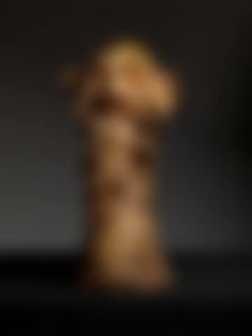 The Walrus (preview)