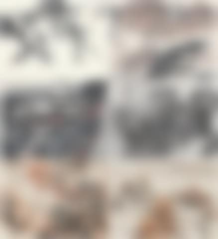 Various Subjects (preview)