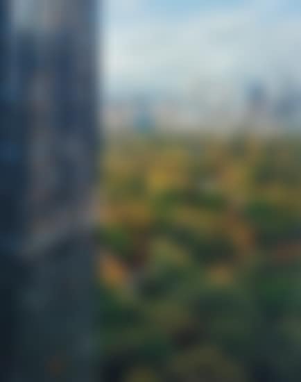 View of Central Park from the East, New York, NY (preview)