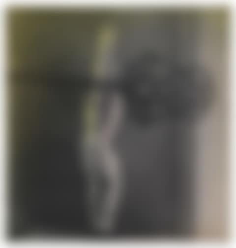 La Poupée (with carpet beater) (preview)