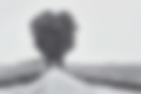 Brie (preview)