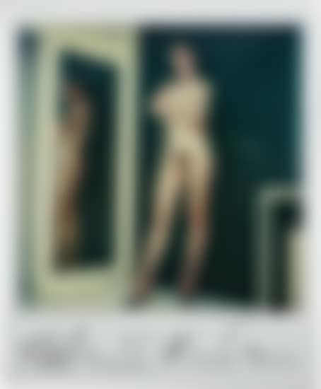 Nude in mirror (preview)