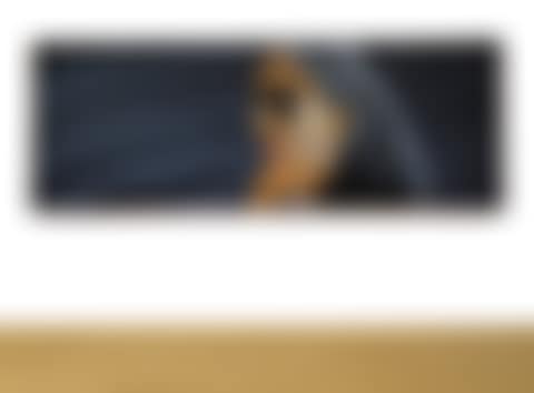 DARK GLASSES (preview)