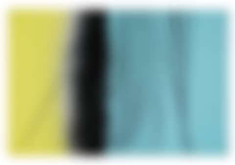 T1970-H4 (preview)