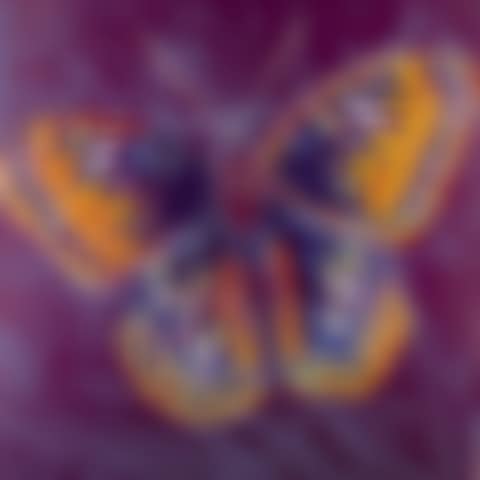San Francisco Silverspot (preview)