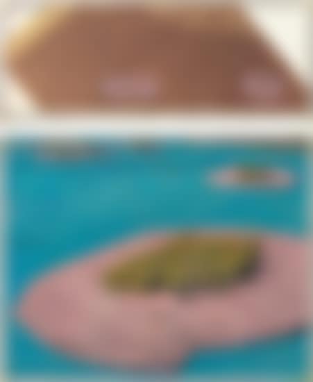 Surrounded Islands (Project for Biscayne Bay, Greater Miami, Florida) (preview)