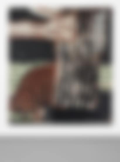 Green Grass, White Cat (preview)