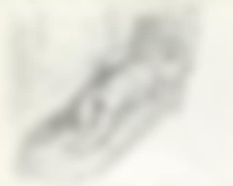 La Sieste (preview)
