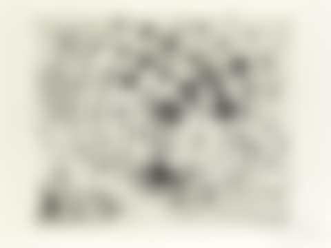 Argus (preview)