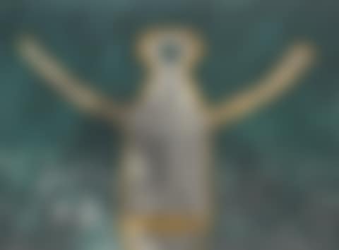 Figura De Hombre En Gris (preview)