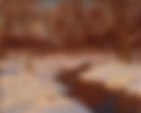 Winter landscape (preview)