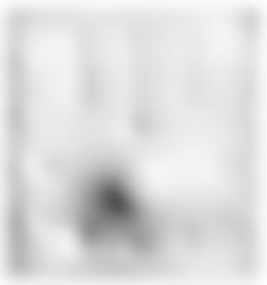Bianco (preview)