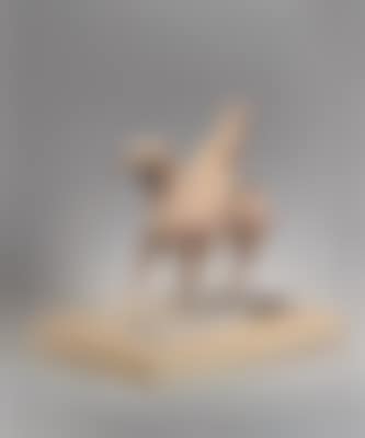 Piccolo cavaliere (preview)