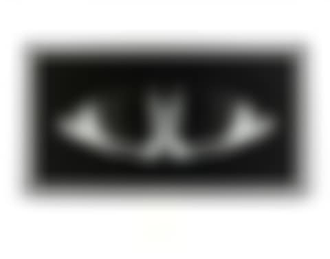 Double shark (preview)