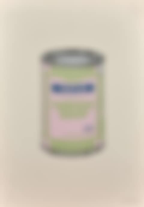 Soup can (preview)