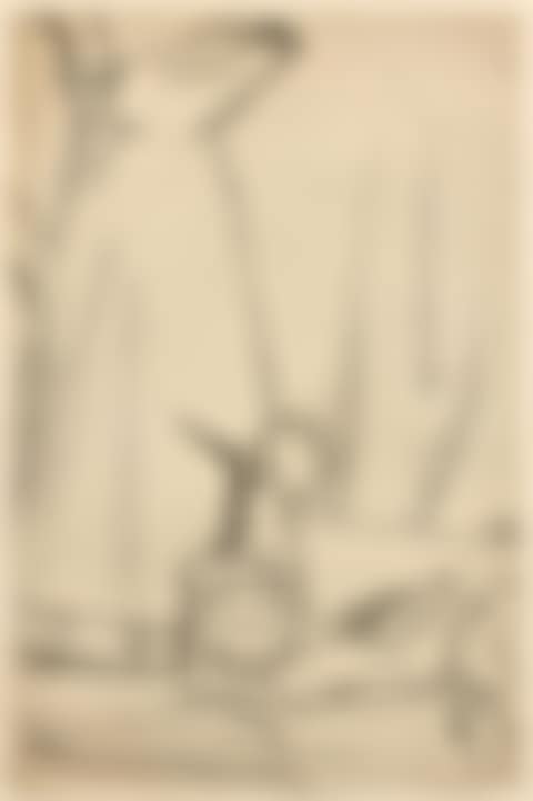 The vaporizer (preview)