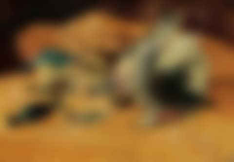 Still life of birds on a wicker basket (preview)