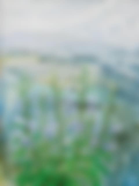 Bell Flowers (preview)