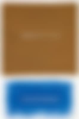 Lines, brown and blue (preview)