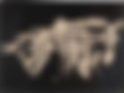 Untitled (preview)
