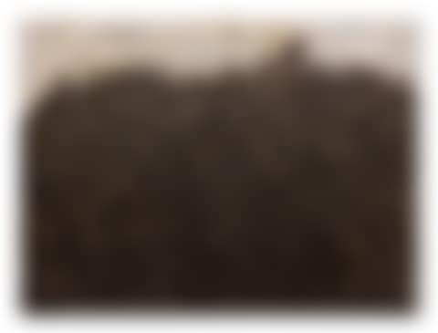 PAYSAGE AUX VÉGÉTATIONS (preview)