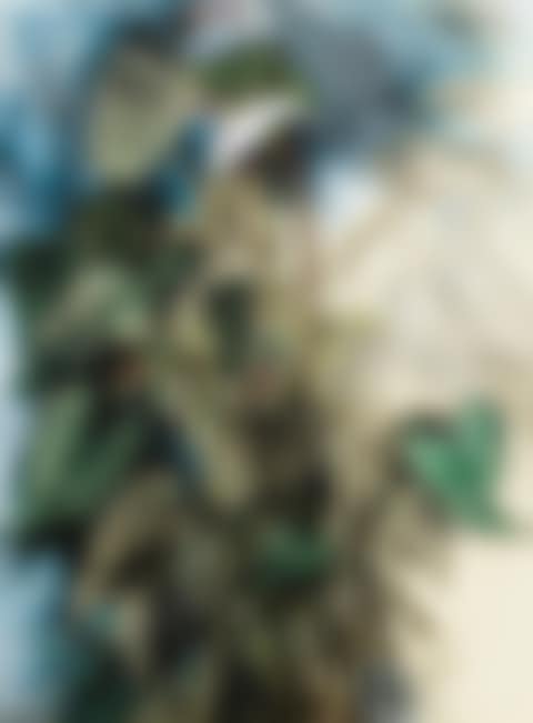 CHELSEA ANTHURIUM (preview)