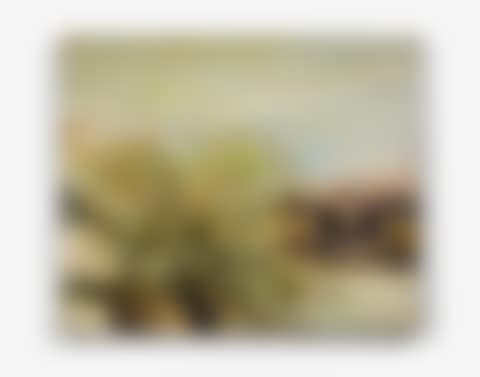 20.1.86 (preview)