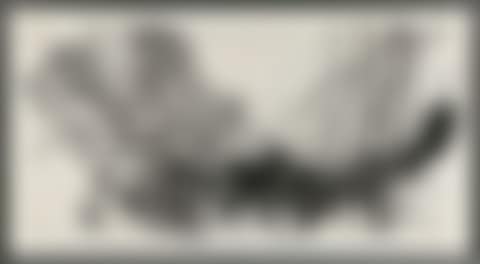 UNTITLED (preview)