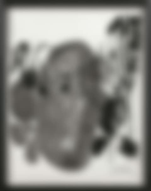 UNTITLED (preview)