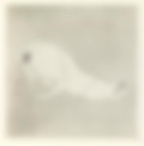 Metamorfosis (preview)