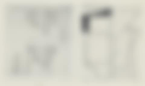 Untitled (Tenement) (preview)