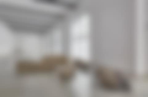 6 Hasensteine (preview)