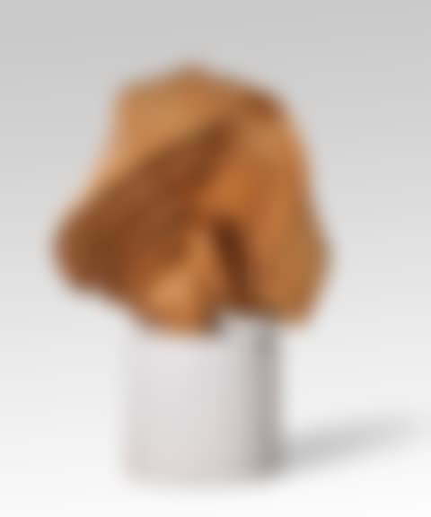 Willow II (preview)