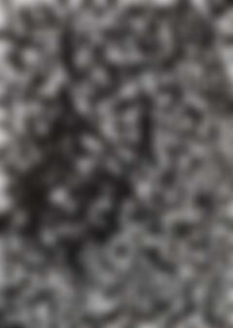 Ohne Titel (preview)