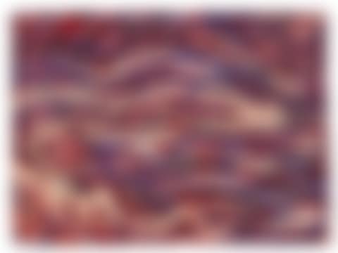 Berg in Bayern (preview)
