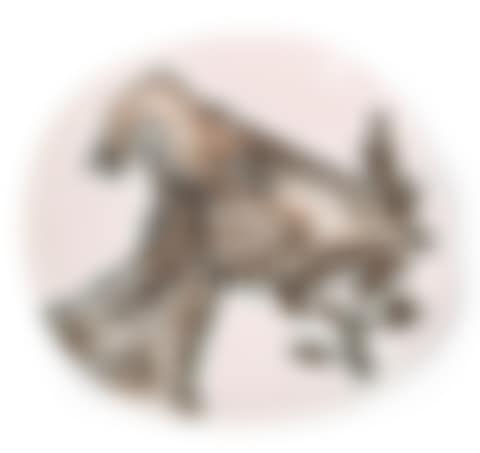Goat's head in profile (preview)