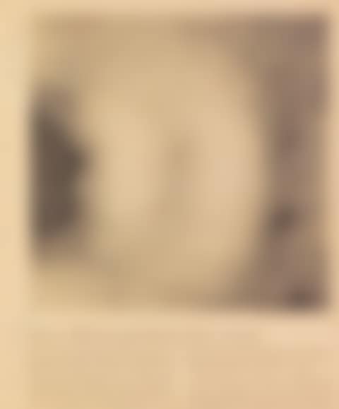 Erster Blick (preview)
