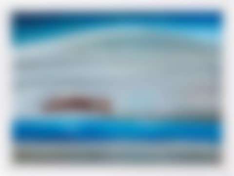 Polar No.1 (preview)