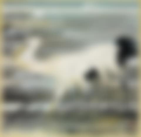 Hérons (preview)