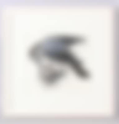 "Vogel" (preview)