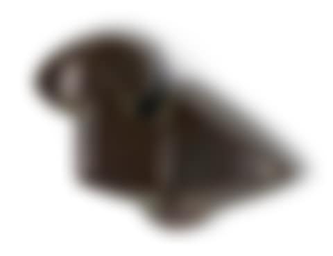 DUCK (preview)