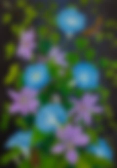 CLEMATIS AND MORNING GLORY (preview)