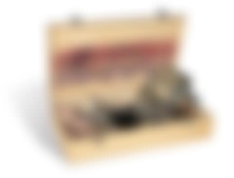 Act Up Art Box (preview)