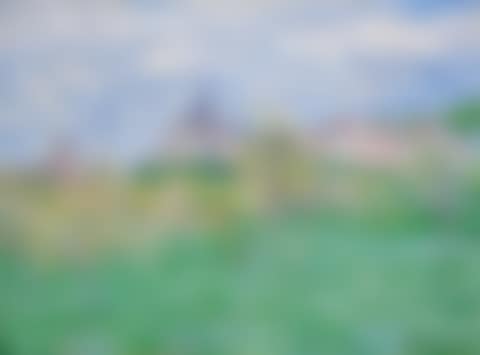 PRINTEMPS À GIVERNY, EFFET DU MATIN (preview)